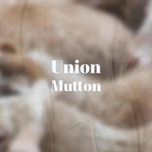 Dengarkan lagu Boardroom nyanyian Tonny Blert dengan lirik