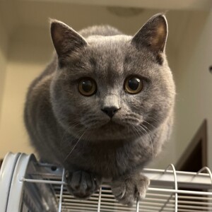 收聽陳從雨xiaoyu0的學妹 (完整版)歌詞歌曲