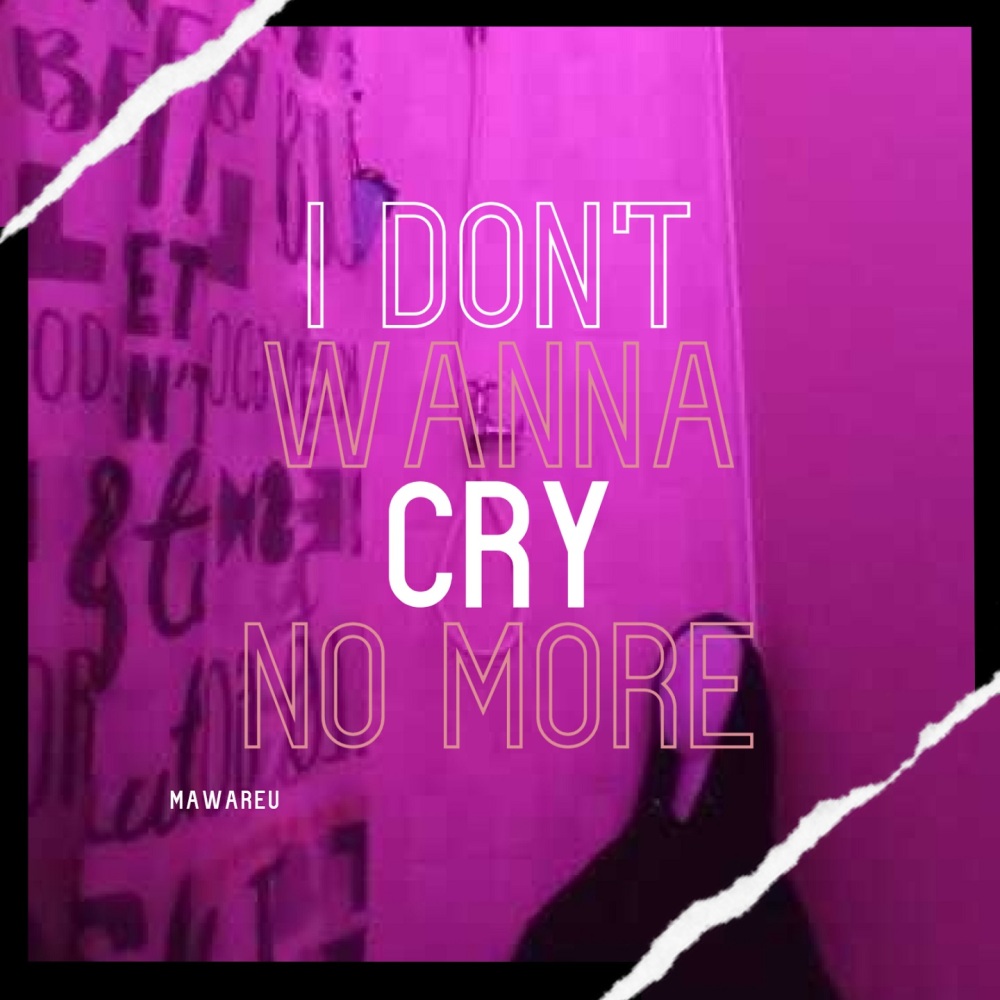 I Don't Wanna Cry No More (Explicit)