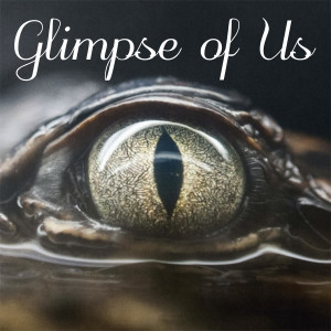 Listen to Glimpse of Us (Spanish) song with lyrics from George Miller