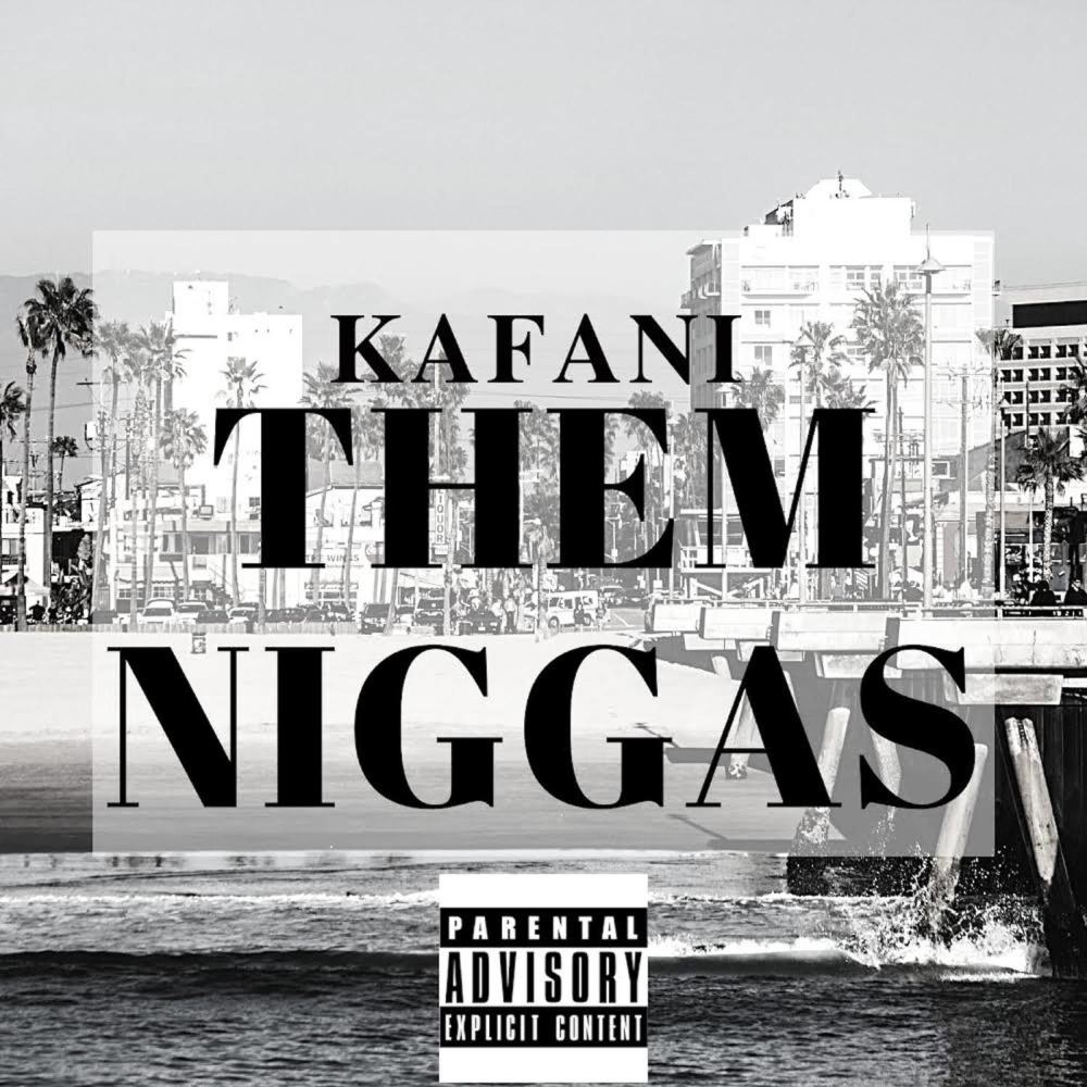 Them Niggas (Explicit)