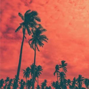 Khaos Official的專輯Crimson Beach (Explicit)