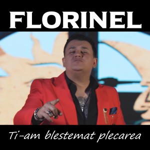 Album Ti-am blestemat plecarea from Florinel
