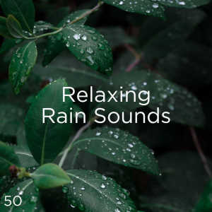 收聽Meditation Rain Sounds的雨聲音睡覺歌詞歌曲