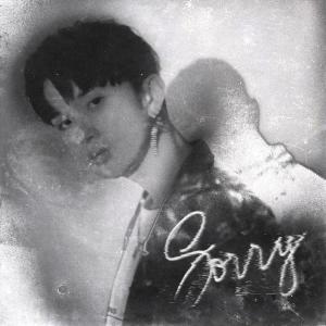 Album Sorry from JUNIK
