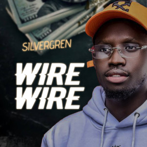 Silvergren的專輯Wire Wire