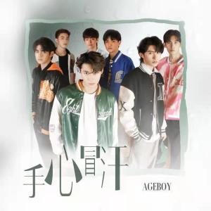 收聽AGEBOY的手心冒汗 (網劇《在你心之所向的地方》插曲)歌詞歌曲