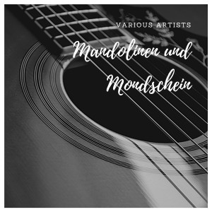 Listen to Eine handvoll Heimaterde song with lyrics from TOM