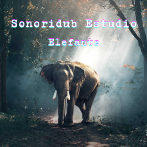 收聽Sonoridub的Elefante歌詞歌曲