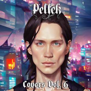 ดาวน์โหลดและฟังเพลง Spiderman Cartoon Theme พร้อมเนื้อเพลงจาก PelleK