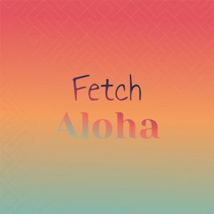 Various的专辑Fetch Aloha