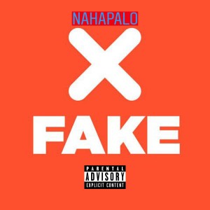 Listen to Fake song with lyrics from nahapalo
