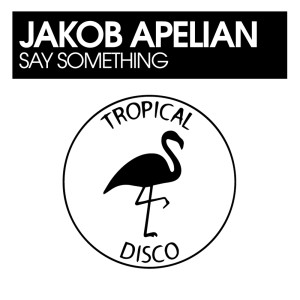 收聽Jakob Apelian的Say Something歌詞歌曲