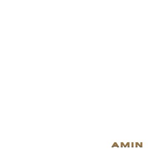 Listen to Amin song with lyrics from Dammy Krane