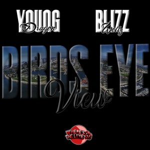 ดาวน์โหลดและฟังเพลง Birds Eye View (Explicit) พร้อมเนื้อเพลงจาก Blizz Wellz