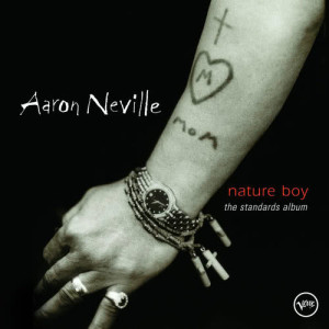 收聽Aaron Neville的Danny Boy (Album Version)歌詞歌曲
