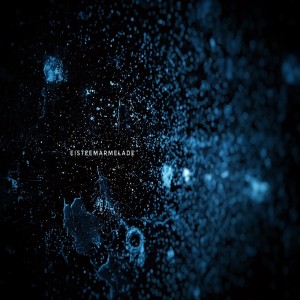 ดาวน์โหลดและฟังเพลง Humanity พร้อมเนื้อเพลงจาก Eisteemarmelade