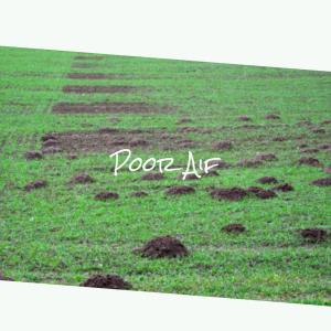 Dengarkan Intellect Mettlesome lagu dari Mevin Chie dengan lirik