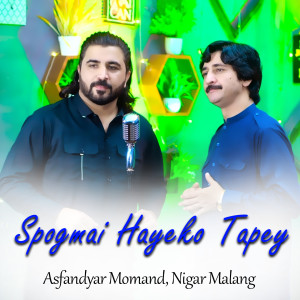Listen to Spogmai Hayeko Tapey song with lyrics from Asfandyar Momand