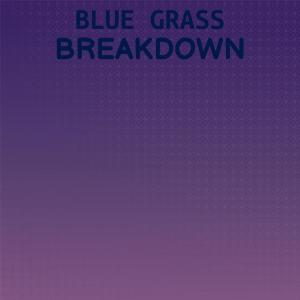 Blue Grass Breakdown dari Silvia Natiello-Spiller