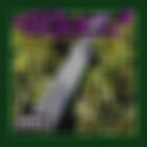 Los De La 987的專輯Popurrí De Bohemios (Explicit)