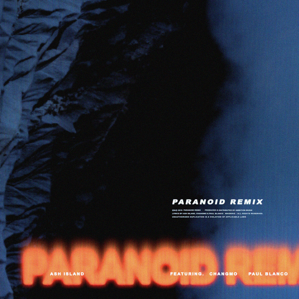 Paranoid (Remix) (Explicit)