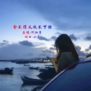 Album 舍不得又放不下你DJ from 何仙子