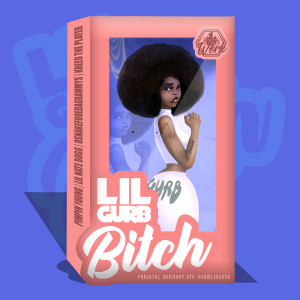 ดาวน์โหลดและฟังเพลง Lil Gurb Bitch (Explicit) พร้อมเนื้อเพลงจาก Pimpin Young