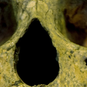 Halloween Music的專輯1 AM Screams: Coffin Dreams