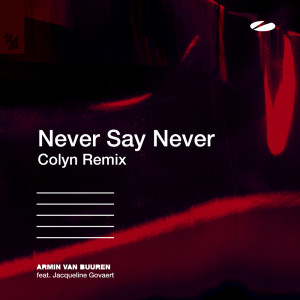 ดาวน์โหลดและฟังเพลง Never Say Never พร้อมเนื้อเพลงจาก Armin Van Buuren
