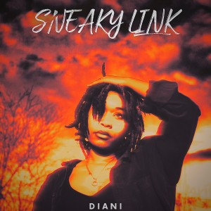 Diani的專輯Sneaky Link (Explicit)