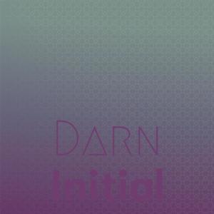 Various Artists的專輯Darn Initial