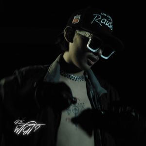 Album WTGT (Explicit) from Himig Borhuh