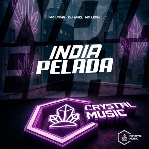 Índia Pelada (Explicit) dari DJ WNZL