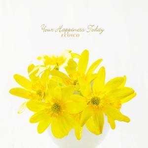Ecoico的专辑Your Happiness Today
