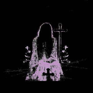 Album Ashes from vioflesh