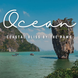 Music of Tranquil Paws: Coastal Bliss by the Ocean