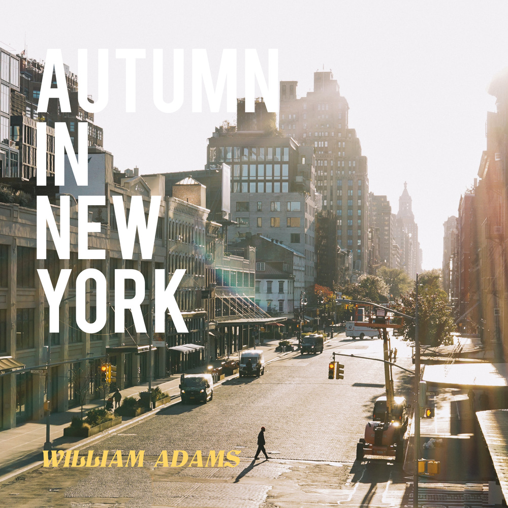 Autumn In New York