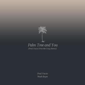 Album Palm Tree and You (Prod. Faccio Drive Me Crazy Remix) from 