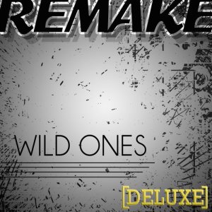 收聽Wild Flo的Wild Ones (Flo Rida feat. Sia Deluxe Remake) - Karaoke (- Karaoke)歌詞歌曲