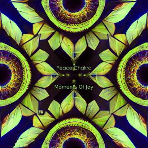 ดาวน์โหลดและฟังเพลง Have Good Ideas พร้อมเนื้อเพลงจาก Peace Chakra