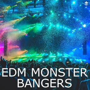Various Artists的專輯EDM Monster Bangers