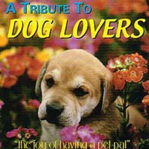 ดาวน์โหลดและฟังเพลง Rappin Gangsta Dog พร้อมเนื้อเพลงจาก David And The High Spirit