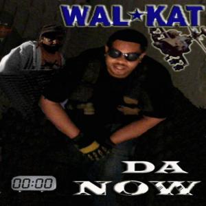 Listen to LYRICAL PLAN(feat. Drom) (Explicit) song with lyrics from Walkat