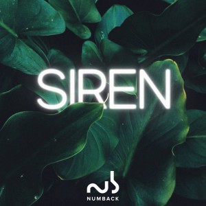 Album Siren from Numback