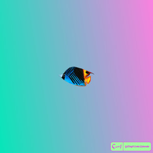 Listen to Coral (feat. Genta Watanabe) song with lyrics from YǔJīng