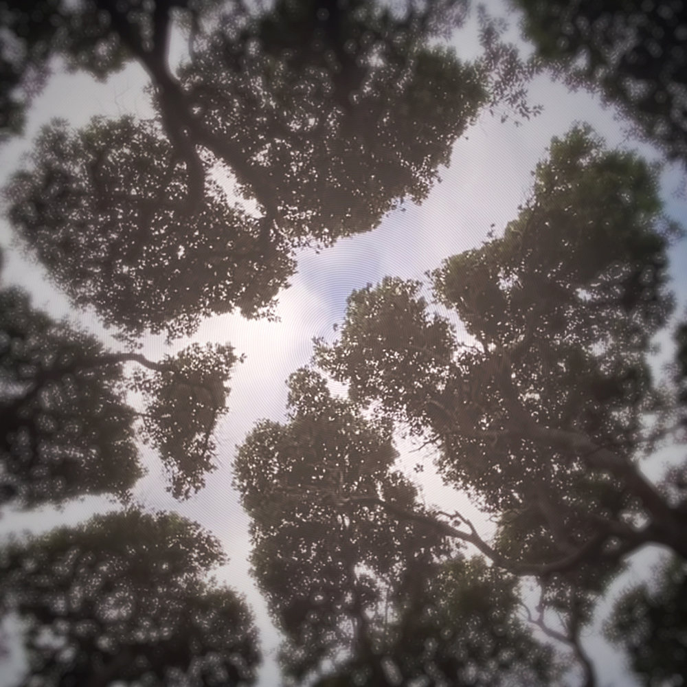 Patterns