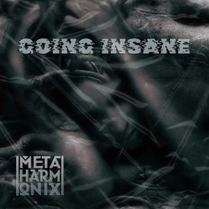 ดาวน์โหลดและฟังเพลง Going Insane พร้อมเนื้อเพลงจาก Metaharmoniks