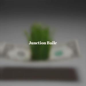 Album Junction Baile from 