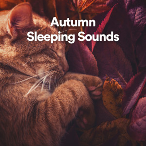 Album Autumn Sleeping Sounds oleh Sound Sleeping